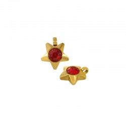 Stainless Steel 316 Charm Star w/ Red Crystal 8mm