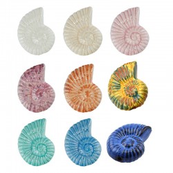 Ceramic Slider Shell w/ Enamel 33x42mm (Ø2.8mm)