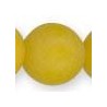 Light Yellow Multi