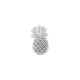 Zamak Slider Pineapple 6x10mm (Ø 1.5mm)