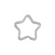 Metal Key Ring Star 36mm