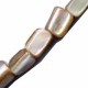 Fresh water shell irregular 40cm