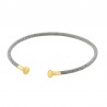 Silver/ Gold