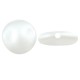 Pearl ABS Bead Round Flat 10mm Ø1mm