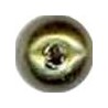 Shiny Olive