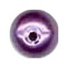 Shiny Dark Purple