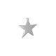Stainless Steel 304 Charm Star 25mm