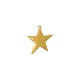 Stainless Steel 304 Charm Star 25mm