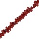 Coral Bambú Perlas Trozos (60 cm)