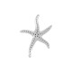 Colgante de Metal Zamak Estrella de Mar 30x40mm (Ø2mm)