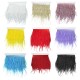 Nastro Sintetico con Piume di Struzzo ~100-150mm (~1mtr/conf)