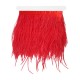 Nastro Sintetico con Piume di Struzzo ~100-150mm (~1mtr/conf)