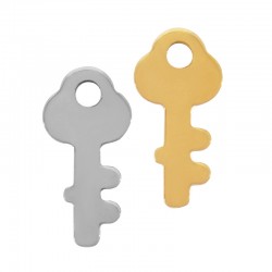 Ciondolo Chiave in Acciaio Inossidabile 304 13X6 mm