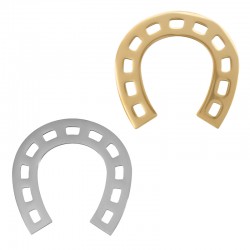 Pendente a Ferro di Cavallo in Acciaio Inossidabile 304 52X53 mm