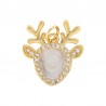 Oro/Marfil/Transparente