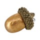 Gland ~19 mm