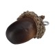 Acorn ~19mm