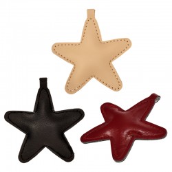 PU Pendant Star 68mm