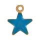 Enameled Stainless Steel 304 Charm Star 5x6mm/1.2mm