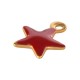 Charm Étoile en Acier Inoxydable 304 Émaillé 5 x 6 Mm/1.2 mm
