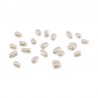 Άσπρο Περλέ