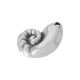 Pendentif Zamak Coquillage 21X28Mm