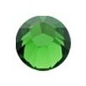 Fern Green
