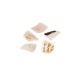 Shell Irregular Bead Chips ~9-20mm Ø~1.3mm (~260pcs)