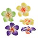 Polymer Clay Bead Flower Waterlily 30mm