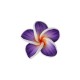 Polymer Clay Bead Flower Waterlily 30mm