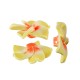 Polymer Clay Bead Flower Waterlily 30mm