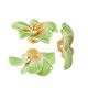Polymer Clay Bead Flower Waterlily 30mm