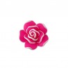 Fuchsia/ Blanc
