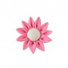 Rosa/Marrone