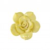 Giallo Scuro