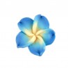 Blue/Multi