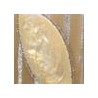 Or / Beige