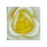 White / Yellow