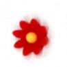 Red/Yellow
