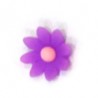 Purple/Pink