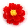 Rosso/Giallo