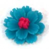 Bleu/Fuchsia