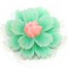 Menthe/rose
