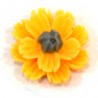 Giallo/Grigio