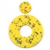 Giallo/Blu scuro