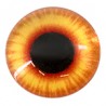 Orange/ Yellow/ Beige/ Black