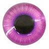 Morado/ Negro