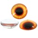 Glass Cabochon Flatback Round with Evil Eye 10mm