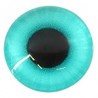 Turquoise/ Noir