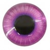 Purple/ Black